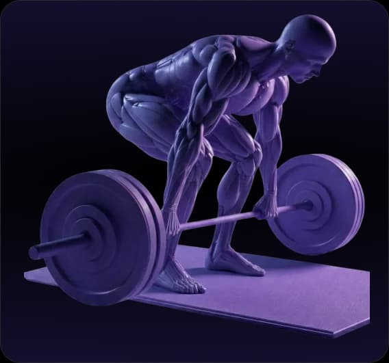 Supplement & maintenance support